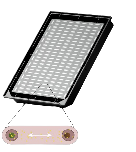 Akura Twin Microplate display of Twin units