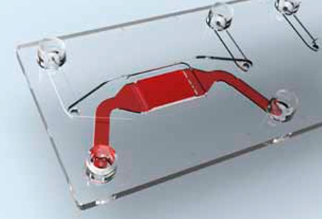 Bottom compartment of the cross-flow membrane organ-on-a-chip