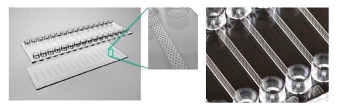 Zoom of the design of the Fluidic 1022 cell trap chip