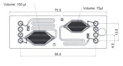 Schematic drawing of the Fluidic 1114 plasma generation chip