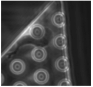 Real-time tracking of single-cell adhesion with SynRAM