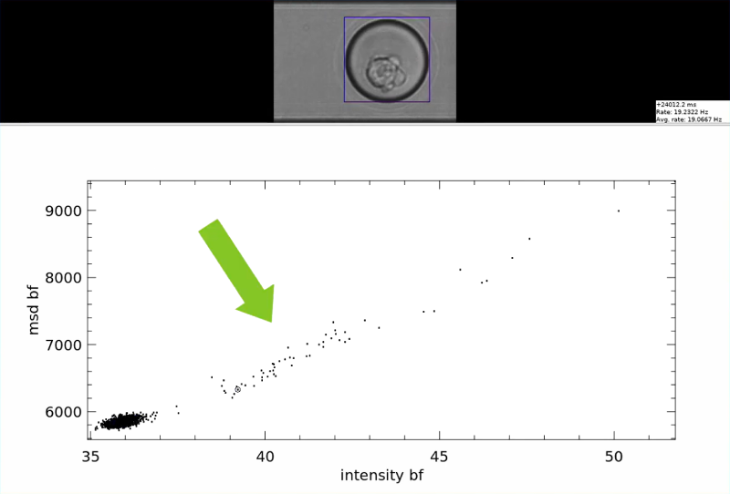 DropletONE Sort software showing droplet measurements and gating in a scatter plot